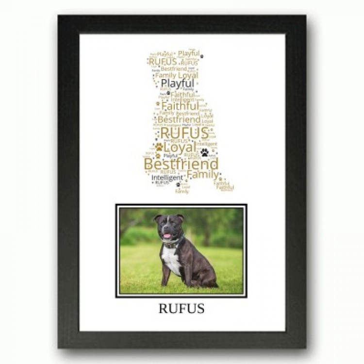 Staffordshire Bulll Terrier Photo Print Gifts